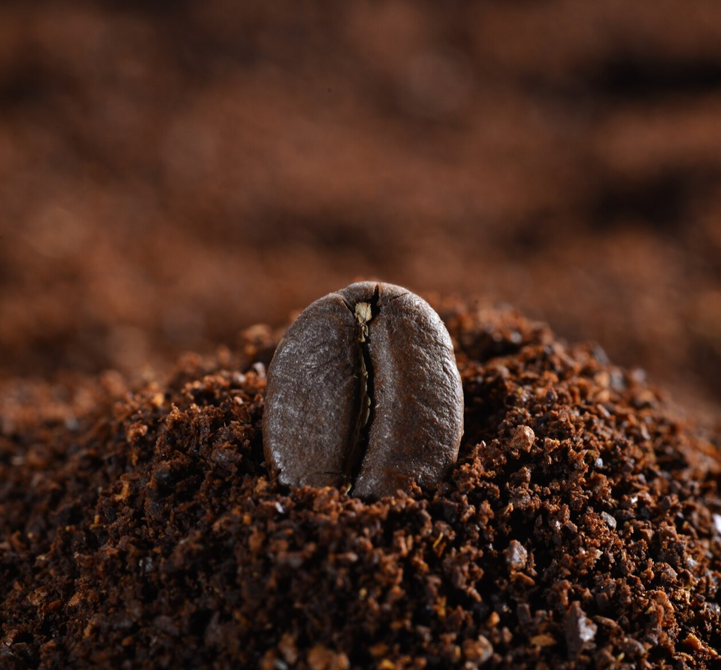 5 Creative Ways to Use Coffee Grounds at Home